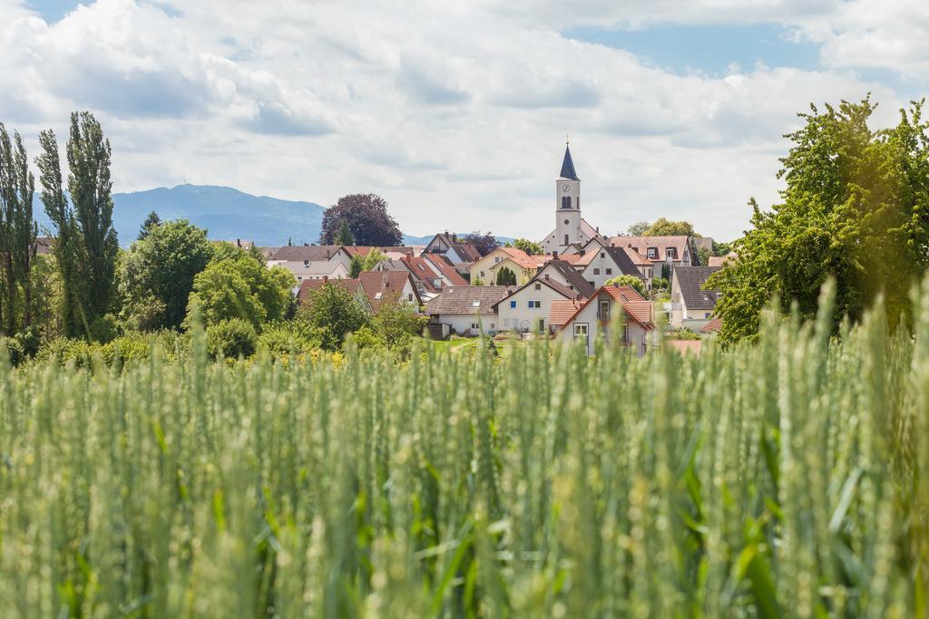 Alemannenhof Hotell Schallstadt Eksteriør bilde